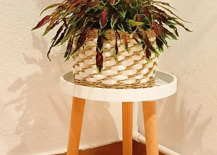 Διαμέρισμα Il Giglio *